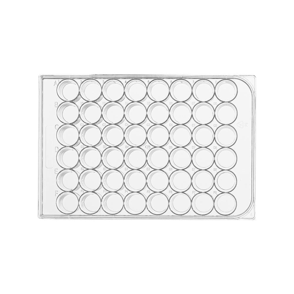 Cell Culture Plates - Image 2
