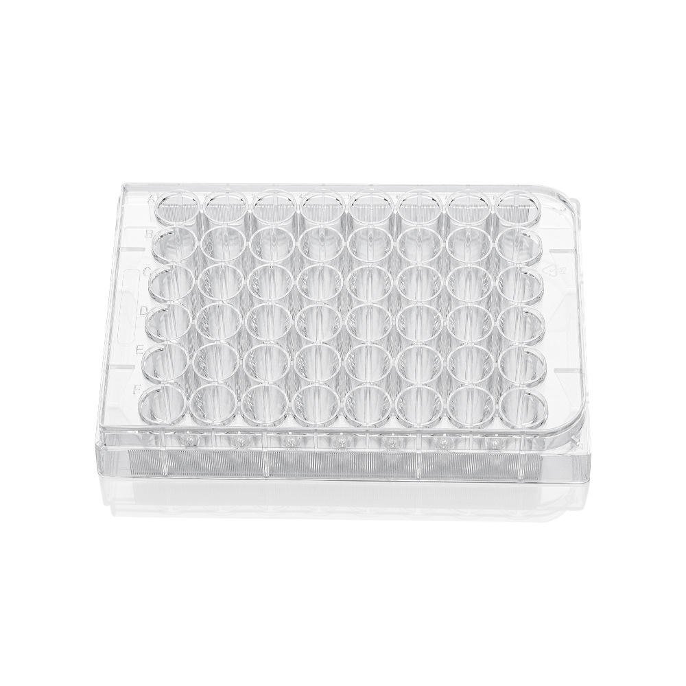 Cell Culture Plates - Image 3